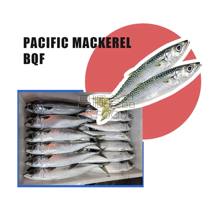 BQF Saba Fish