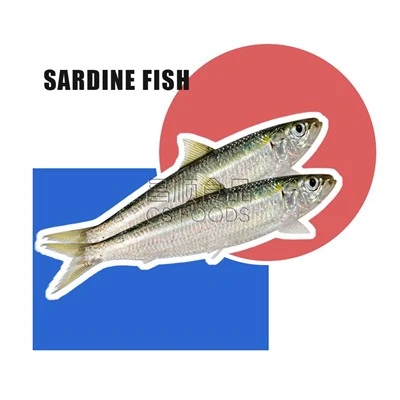 Mrazené sardinky